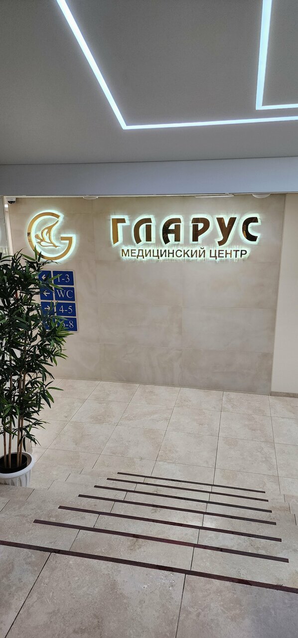 Гостиница Гларус Мурманск-43