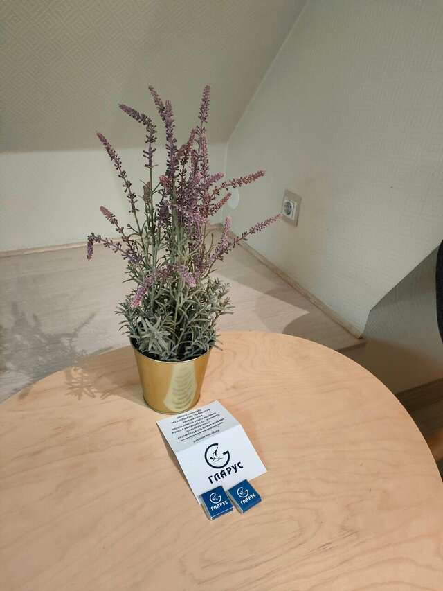 Гостиница Гларус Мурманск-247