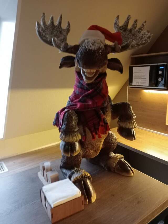 Гостиница Гларус Мурманск-125